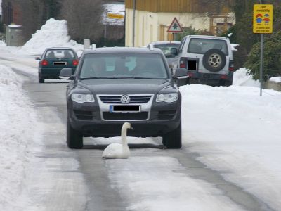 Ein Bild aus der Galerie www.blende-8-foto.de