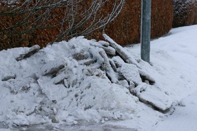 Ein Bild aus der Galerie www.blende-8-foto.de