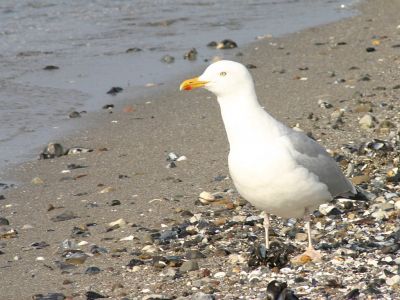 Ein Bild aus der Galerie www.blende-8-foto.de