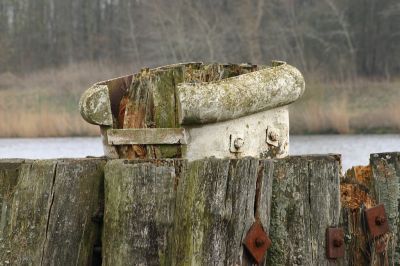 Ein Bild aus der Galerie www.blende-8-foto.de