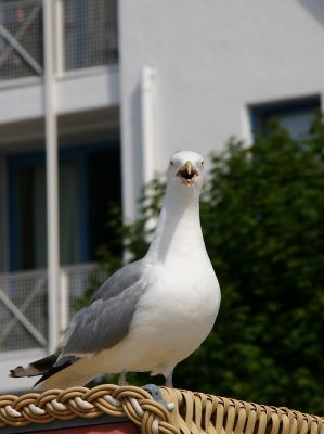 Ein Bild aus der Galerie www.blende-8-foto.de