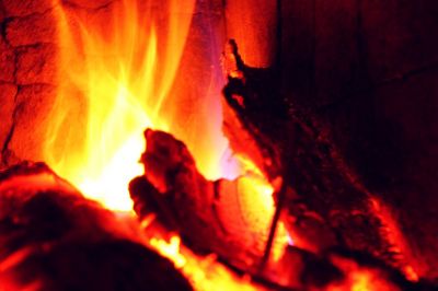 Ein Bild aus der Galerie www.blende-8-foto.de
