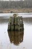 Ein Bild aus der Galerie www.blende-8-foto.de