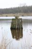 Ein Bild aus der Galerie www.blende-8-foto.de