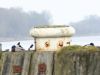 Ein Bild aus der Galerie www.blende-8-foto.de