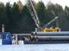 Ein Bild aus der Galerie www.blende-8-foto.de
