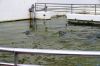 Ein Bild aus der Galerie www.blende-8-foto.de