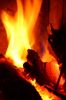 Ein Bild aus der Galerie www.blende-8-foto.de