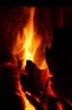 Ein Bild aus der Galerie www.blende-8-foto.de