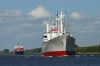 4_cap_san_diego_fischerhuette_300608_06.jpg